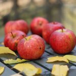 Apple October 2026 event